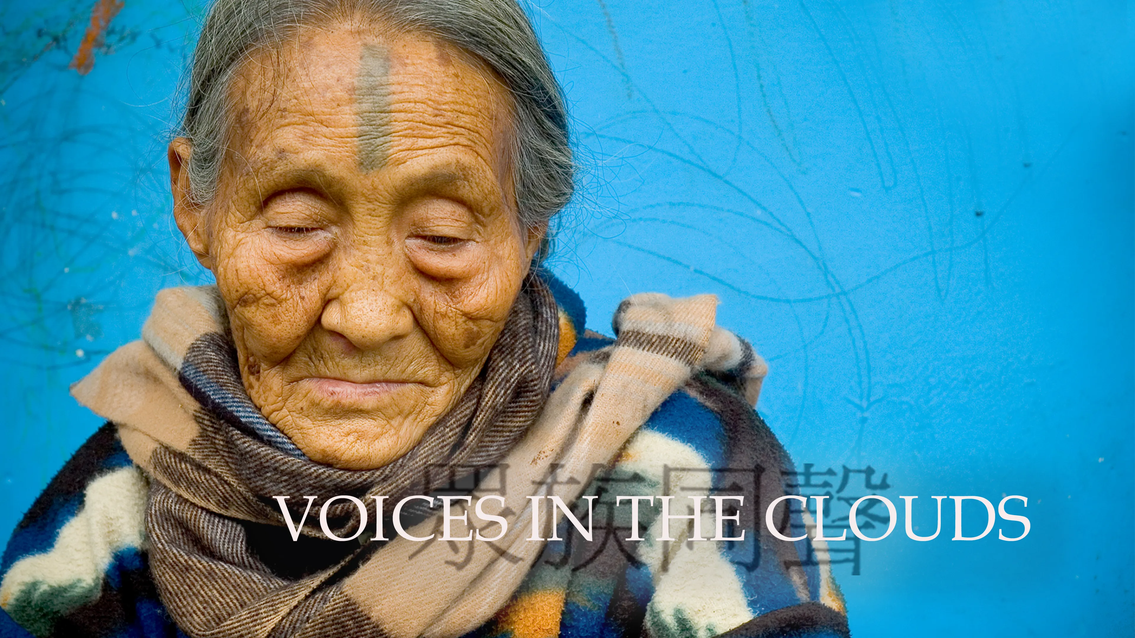 Voices in the Clouds poster